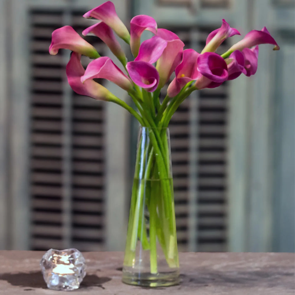 
                  
                    Beautiful Pink Calla Lilies Floral Display
                  
                