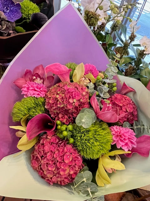 Pink Antique Hydrangeas 
