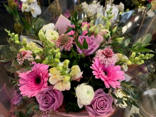 
                  
                    Pink Gerbera Daisies 
                  
                