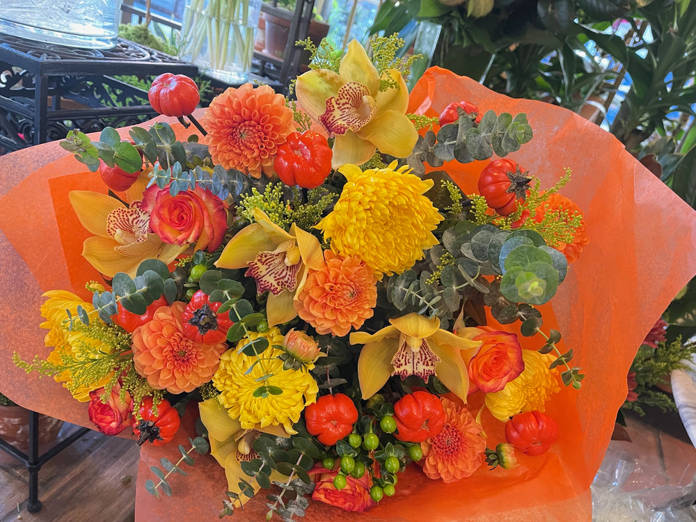 
                  
                    best hypericum berries 
                  
                