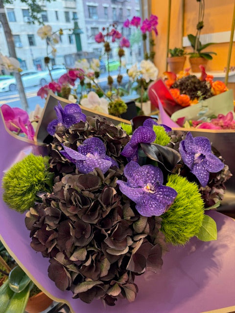 Vanda orchids