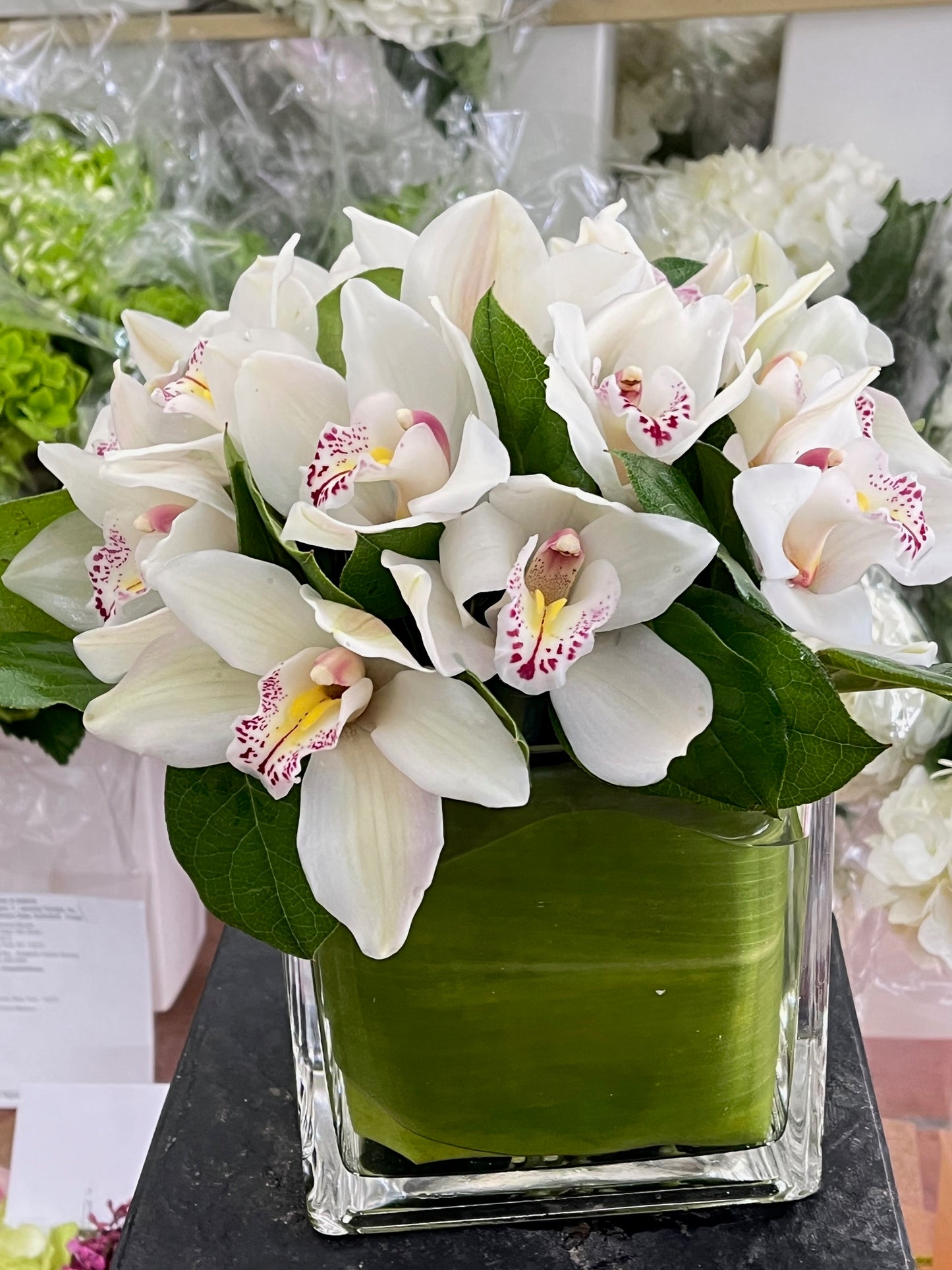 Cymbidium orchids