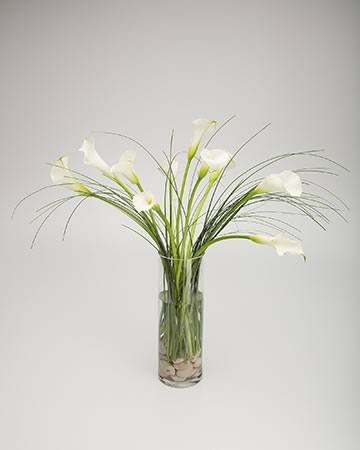 Elegant White Calla Lilies in a Vase
