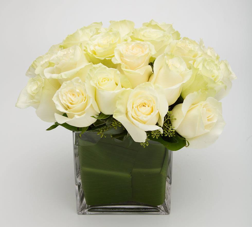 White Mondial Rose in a Transparent Cube