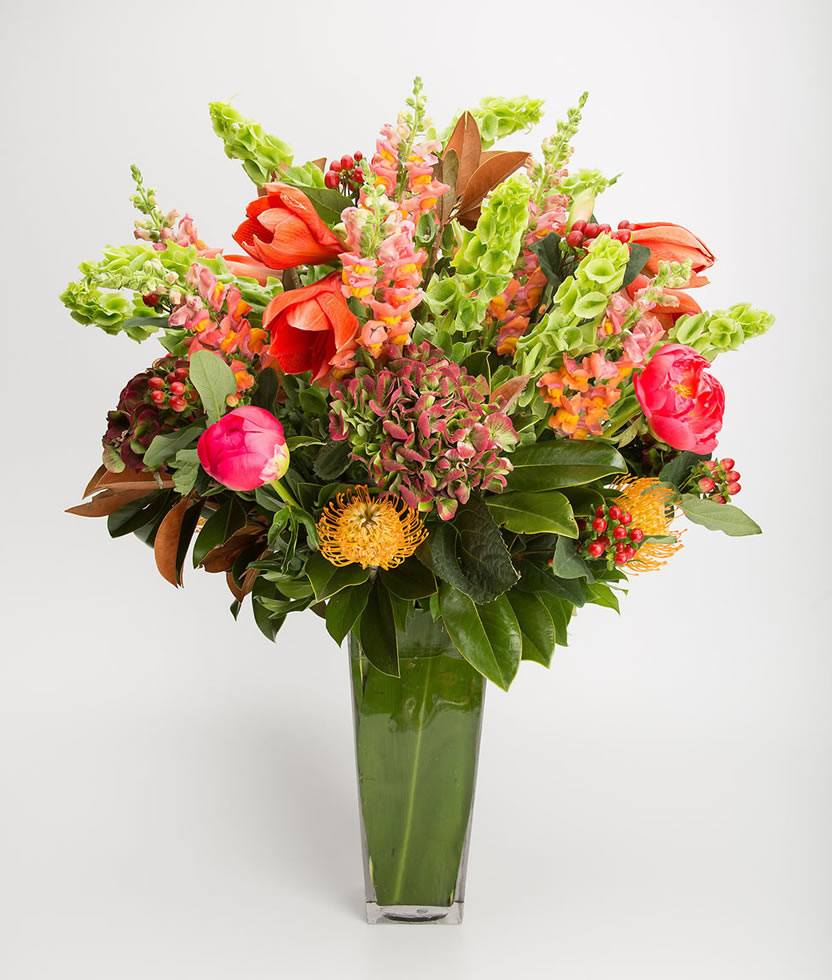 Elegance floral arrangement with amaryllis, bells of Ireland, snaps, pincushions, and hydrangea
