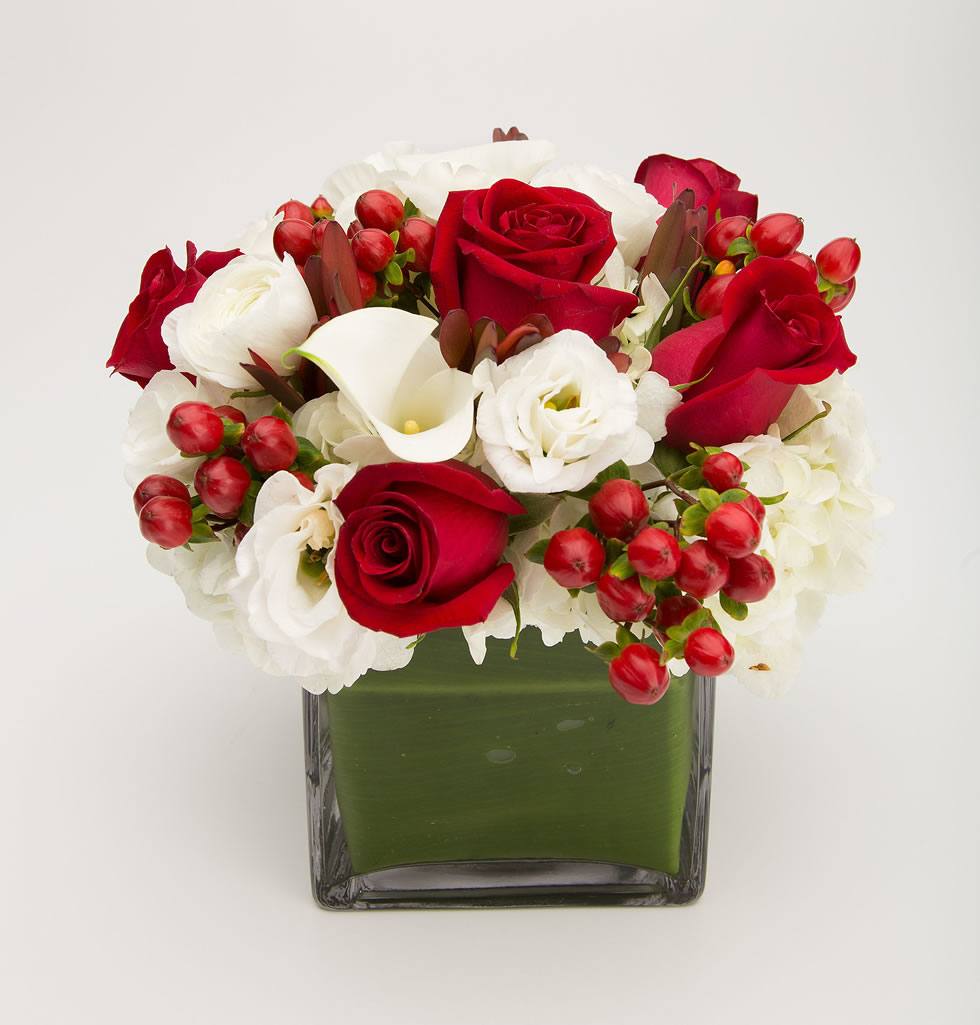 crimson flowers