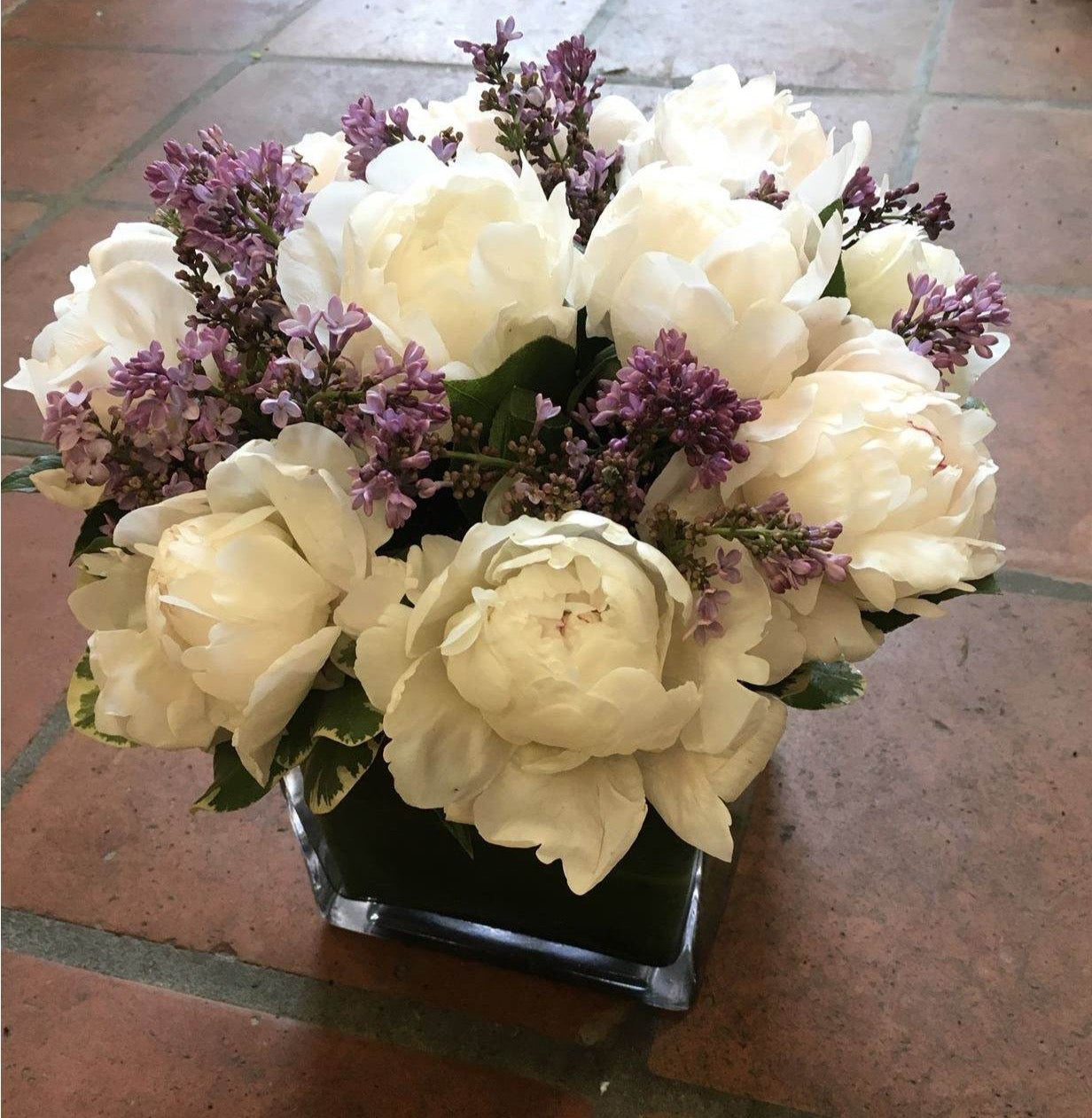 White Peonies in Vass
