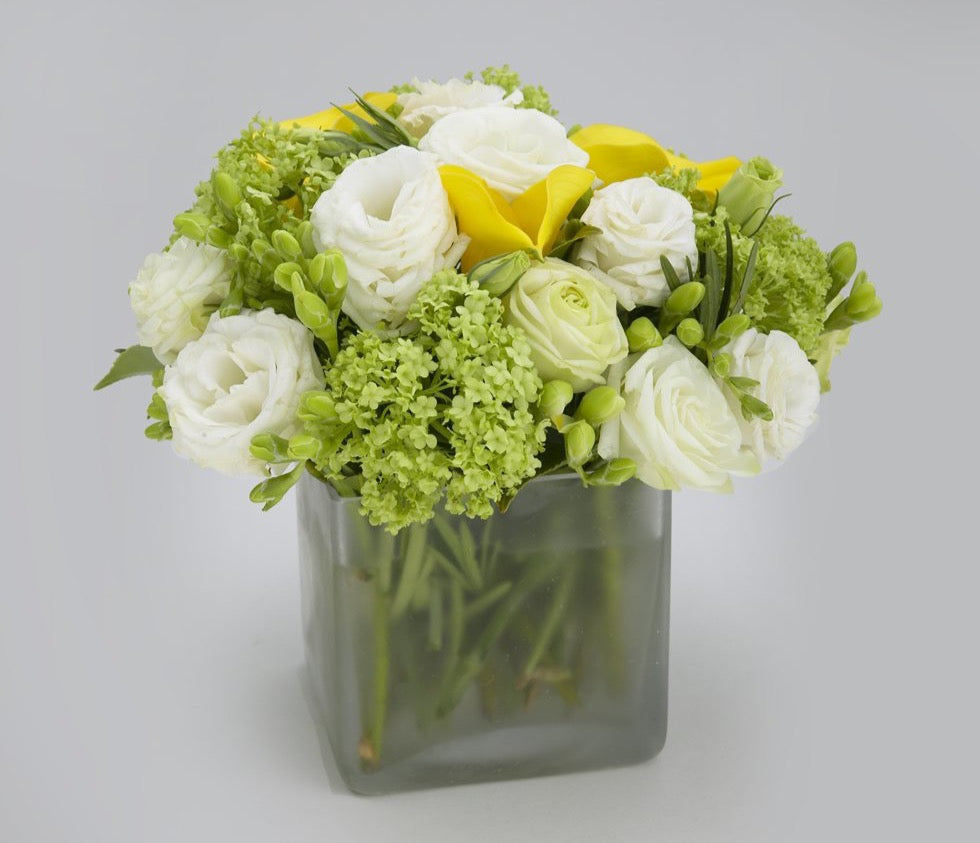 Yellow Calla Lilies, Ranunculus Flower, and Green Hydrangea in a cube vase