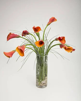 mango calla lily